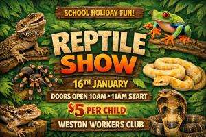 ChatGPT Image Dec 24, 2025, 01_04_51 PM