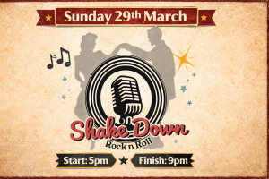 Shake Down Rock N Roll